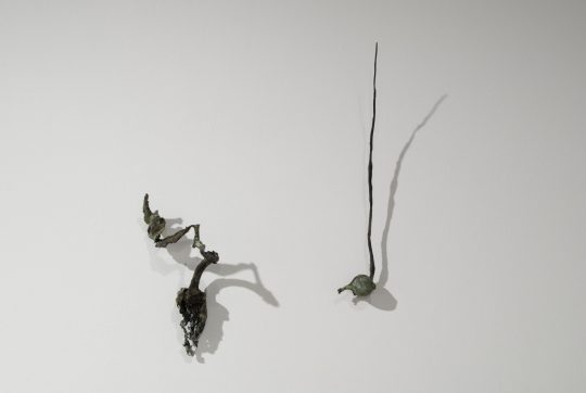 Doubt’s Garden (installation detail (II)) 2009<br />Bronze 12cm (H) x 7cm (W) x 3cm (D) and 31cm (H) x 3cm (W) x 2cm (D)<br />Photographer Paul Litchfield